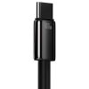 Baseus Tungsten Gold USB - Cablu USB-C, 100W, 2m (negru)