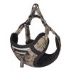 Dogness walking set leash+harness for dog (moro)