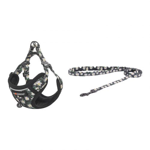 Cat set Dogness harness and leash (Daisy Black)