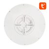 Smart ceiling lamp 30cm WiFi/Bluetooth 16M RGBCW Gosund LB12 1920lm Tuya + Remote Control.